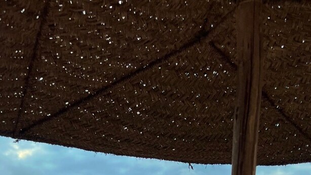 Eine Strandansicht mit einem Holzzaun, einem Reetdachschirm und Angelruten.