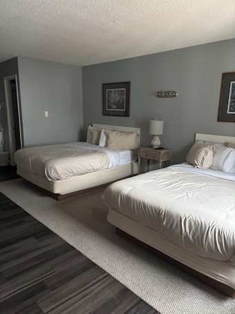 基础双人房, 露台 | 办公桌、笔记本电脑工作区、遮光窗帘、熨斗/熨板