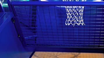 Una cancha de baloncesto con aro y balón.