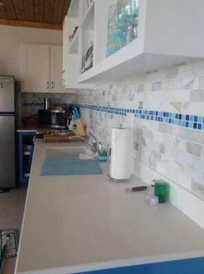 Fridge, microwave, oven, stovetop - Blue Door Villa (Guana Bay)