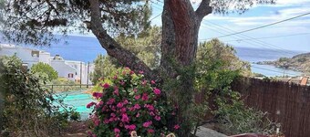 Grandpa Simos' Traditional Guest House (B)