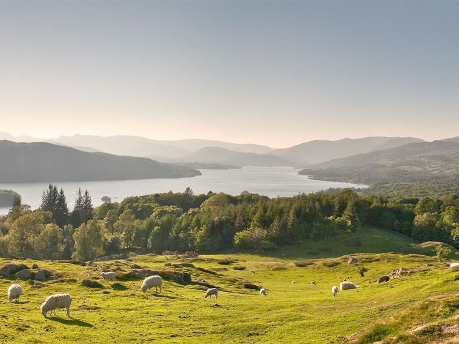 Paisatge idíl·lic amb un llac, turons ondulants i ovelles pasturant.
