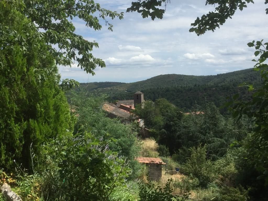 A rural landscape with a small building surrounded by dense greenery and hills in the background.