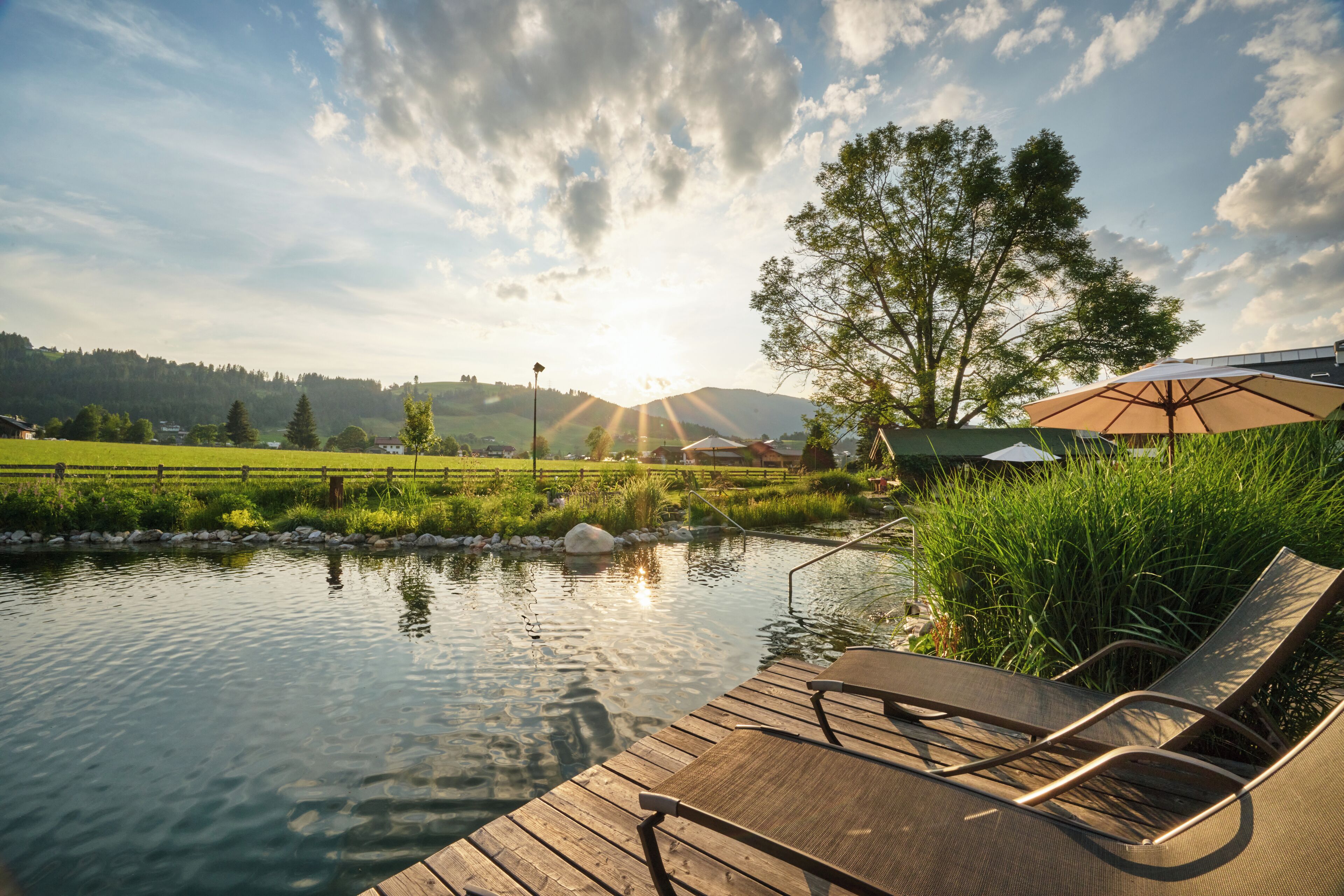 Seasonal outdoor pool, pool umbrellas, pool loungers