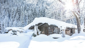 A snow-covered cabin with a rustic wooden exterior, surrounded by dense evergreen trees. - Landhaus Huber (Altenmarkt im Pongau)