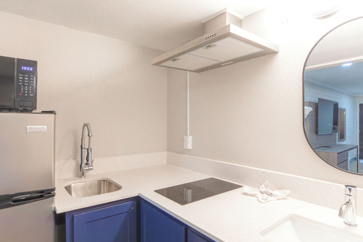 Full-sized fridge, microwave