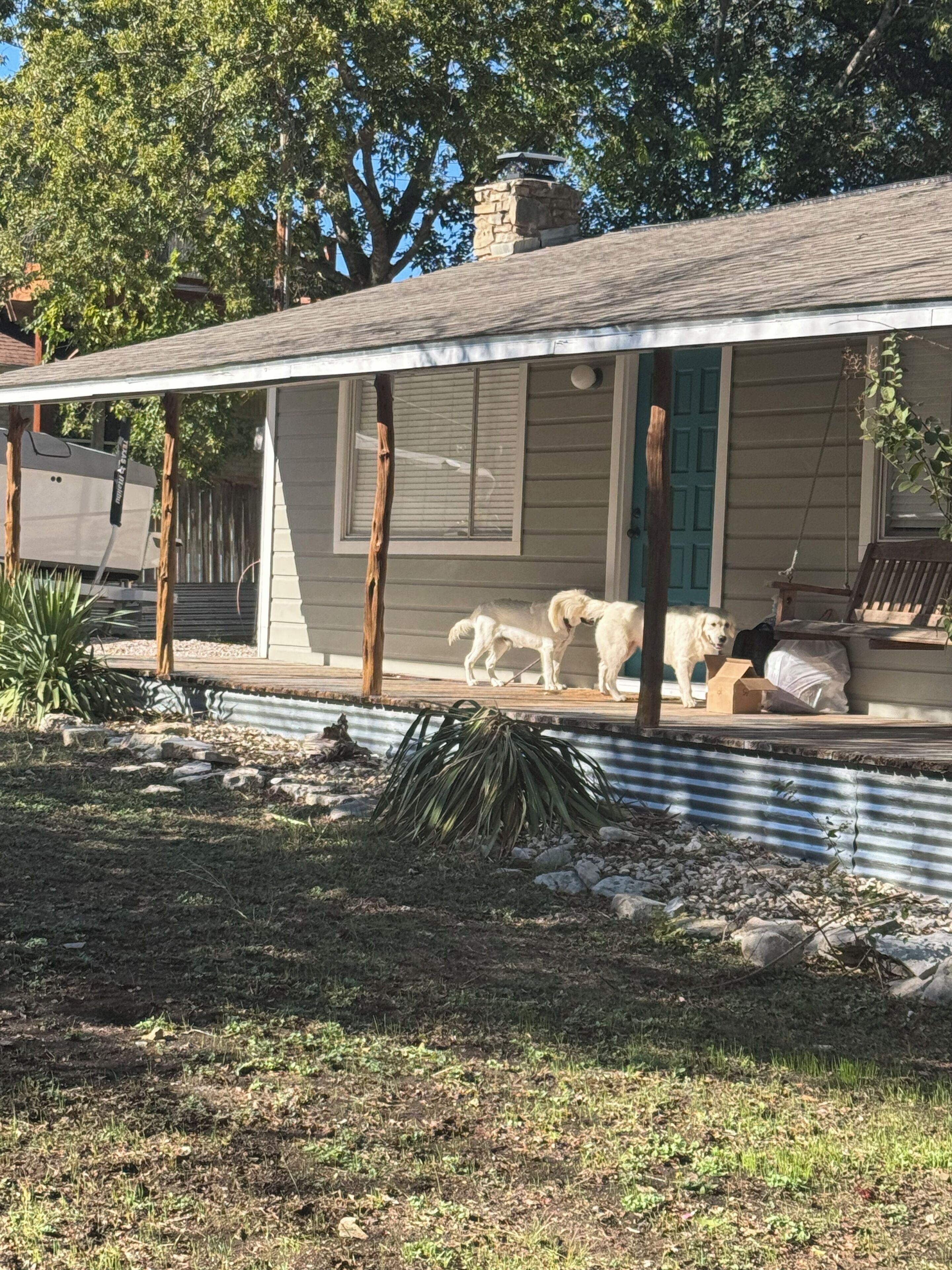 Basic Single Room | Property grounds