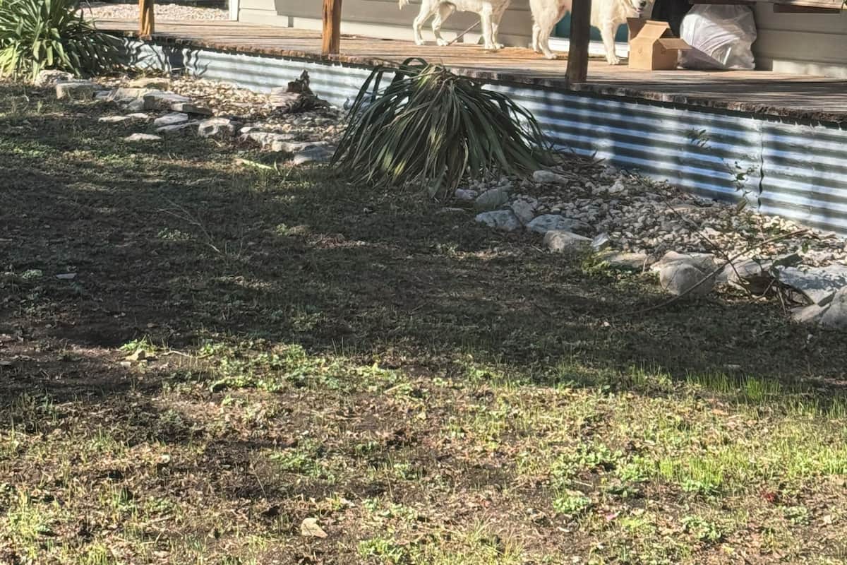 Basic Single Room | Property grounds