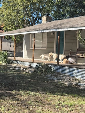 Enkeltrom – basic | Overnattingsstedets uteområder