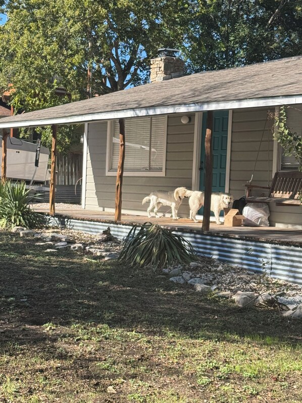 Basic Single Room | Property grounds - Hotel Payton (Austin)