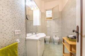 Shower, hair dryer, bidet, towels