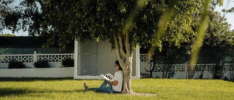 A person sitting on the grass under a tree, reading a book.