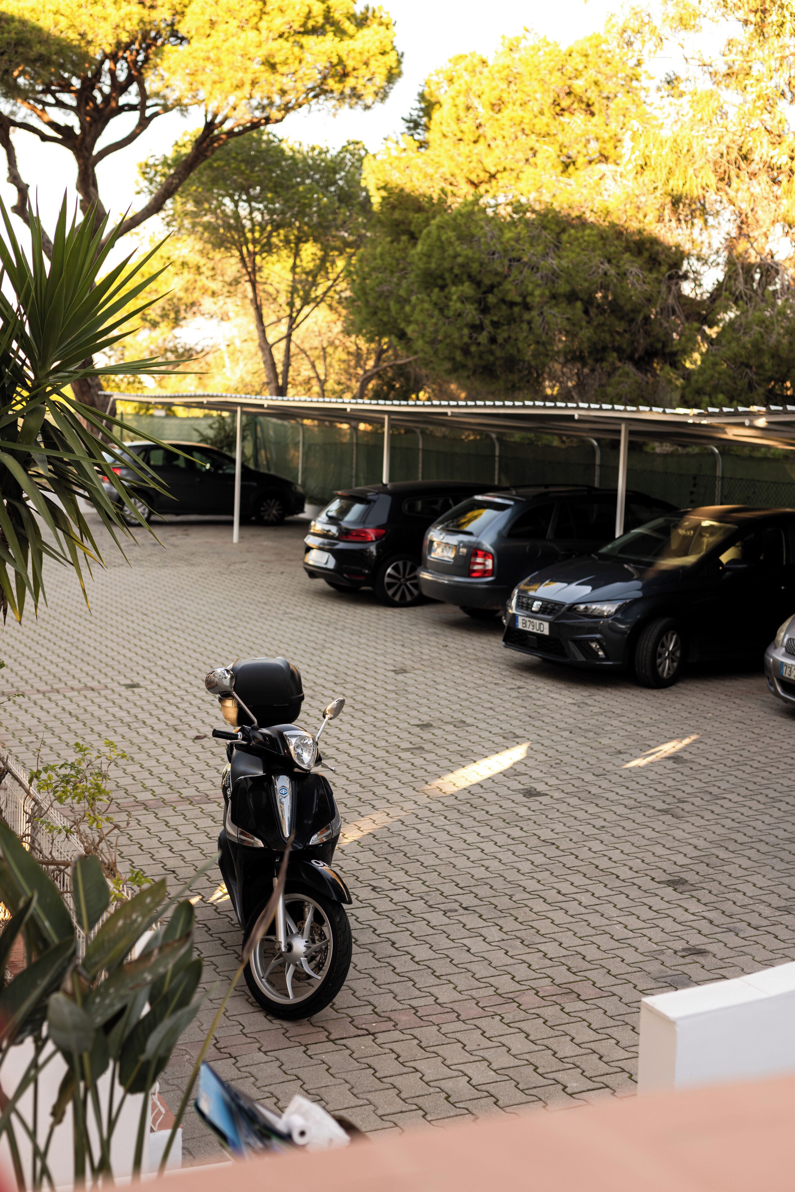 Foto - Outsite Vilamoura - Work, Connect, Explore