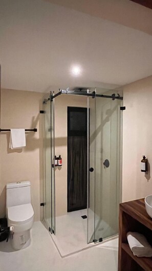 A bathroom with a glass shower enclosure, a toilet, and a wooden vanity with a sink. - Hotel Boutique Alcalá Vallarta (Puerto Vallarta)