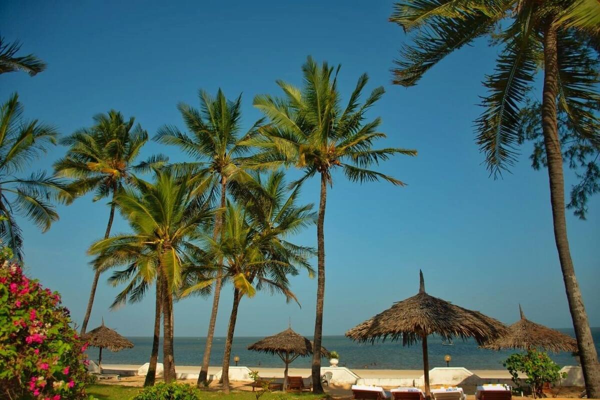A beach with palm trees and thatched umbrellas.