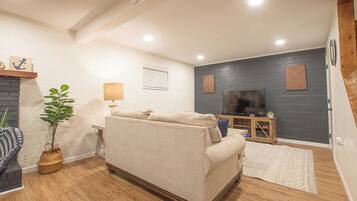 Smart TV, fireplace, books