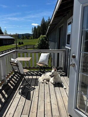 A wooden deck with a white dog, a table, and two chairs. - The Garden Suite (Quesnel)