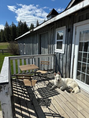 Opções para refeição ao ar livre