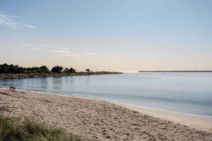 A beach with a dog, calm water, and a distant shoreline.