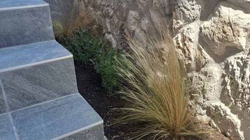 Apartamento | 1 quarto