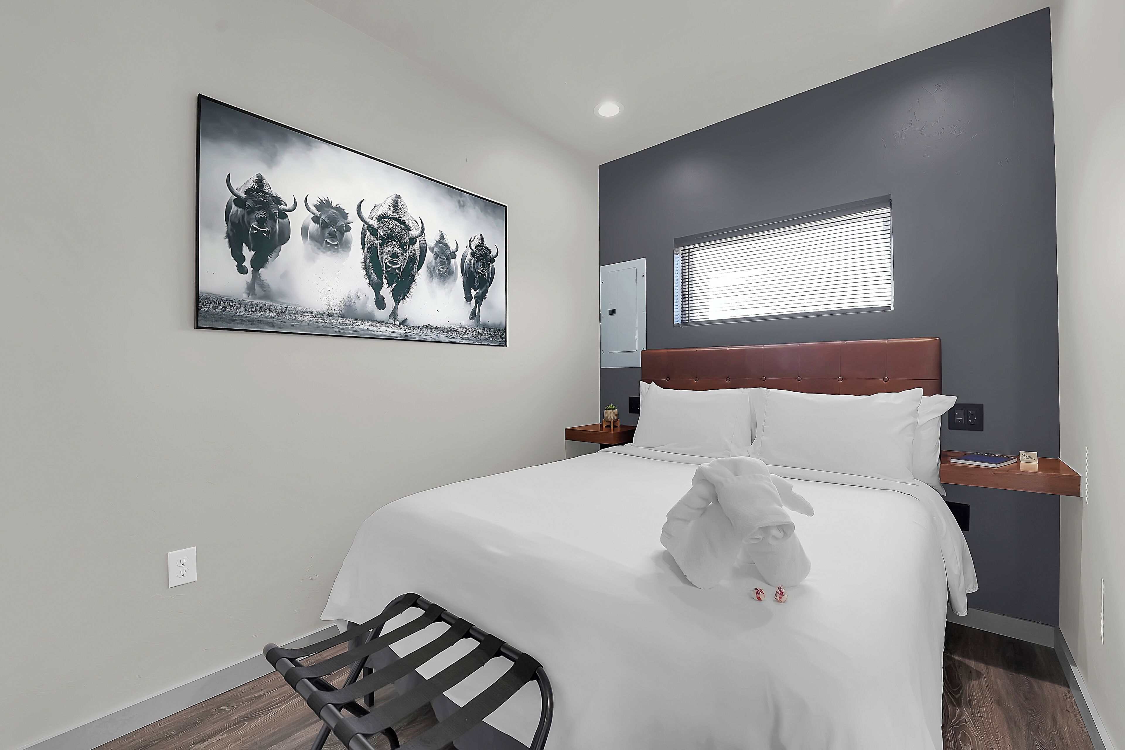 A modern hotel room with a large bed, a headboard, a bedside table, a nightstand, a window with blinds, and a wall-mounted artwork of buffalo.