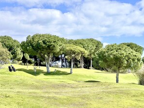 Garden - Albufeira Balaia Golf Village 7 (Albufeira)