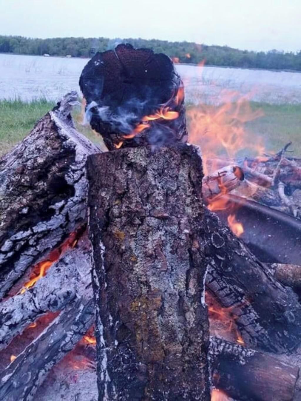 Ein Lagerfeuer mit Holzscheiten und Flammen, vor einer natürlichen Landschaft mit Bäumen und einem Gewässer im Hintergrund.