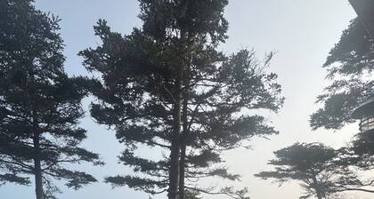 Lawrencetown Beach House with Hot Tub & Sauna