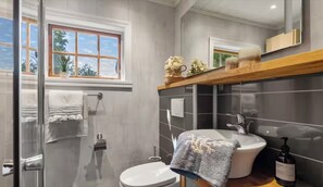 Shower, towels, soap, toilet paper