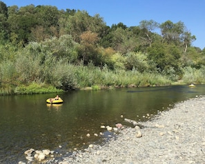 A river with clear water, surrounded by dense greenery and trees. - Riverbend Retreat - Hot Tub and Tastings Included (Healdsburg)