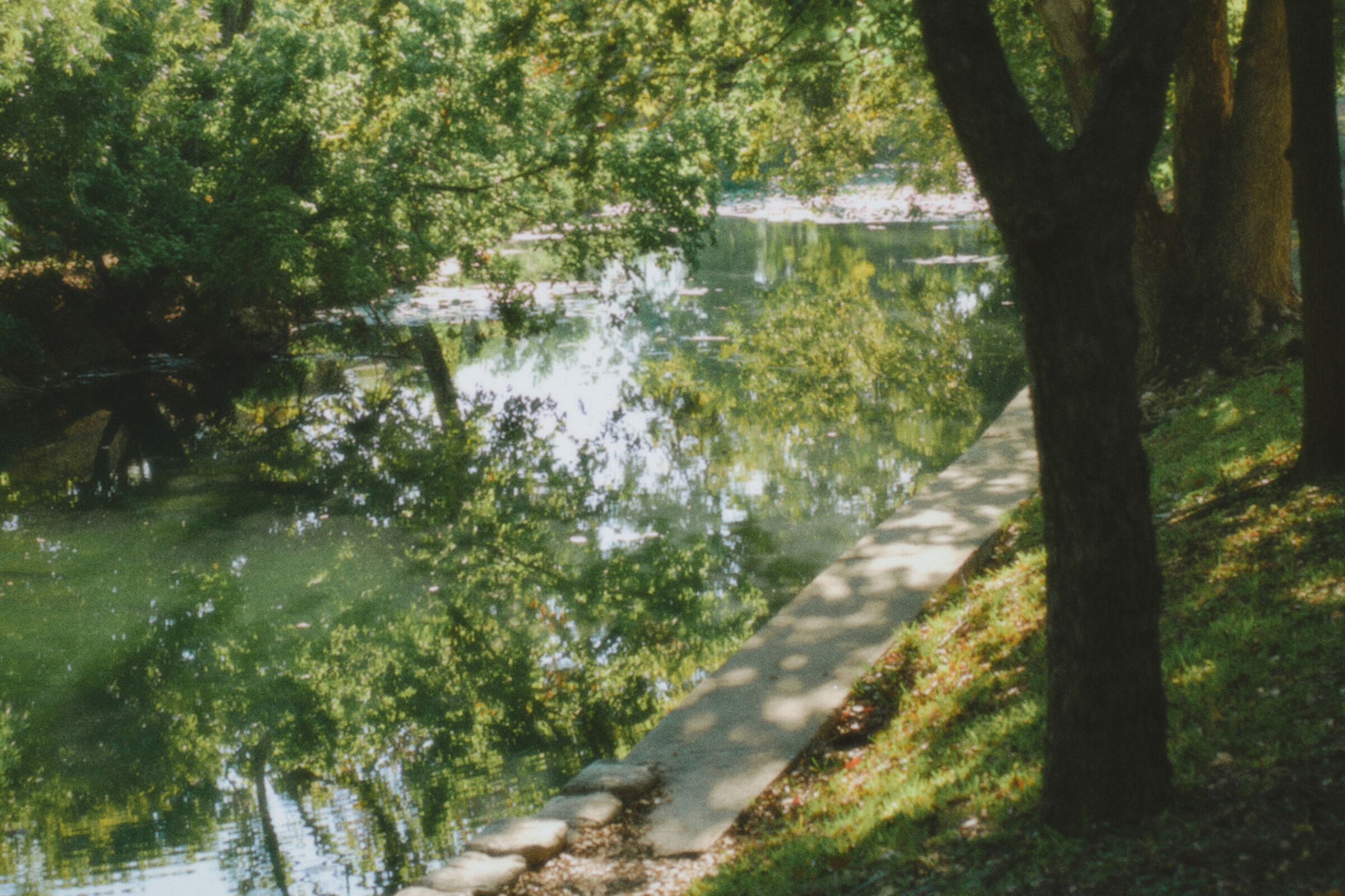 Un tranquillo sentiero lungo il lago, con alberi e un riflesso limpido nell'acqua.
