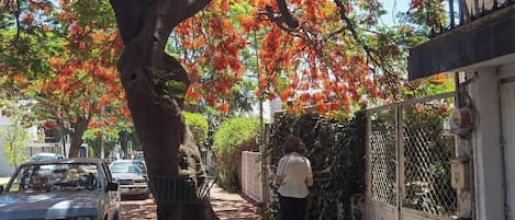 Shared Dormitory, 1 Bedroom | Property grounds