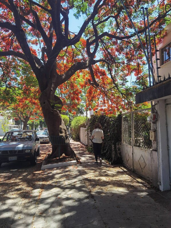Shared Dormitory, 1 Bedroom | Property grounds