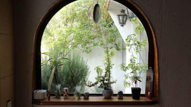 A window with an arched frame, through which various potted plants are visible, and a hanging lantern. - Room-your Best Hideaway in the Coolest n (Zapopan)