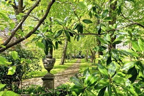 Un sendero en un jardín rodeado de árboles y follaje frondosos.