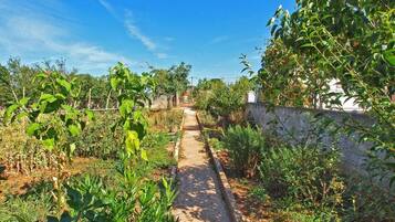 House, 2 Bedrooms, Private Pool, Garden View | Garden