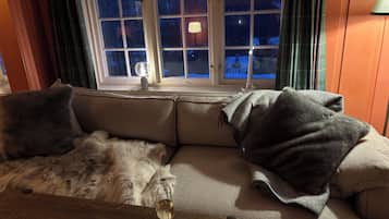 Televisión y chimenea