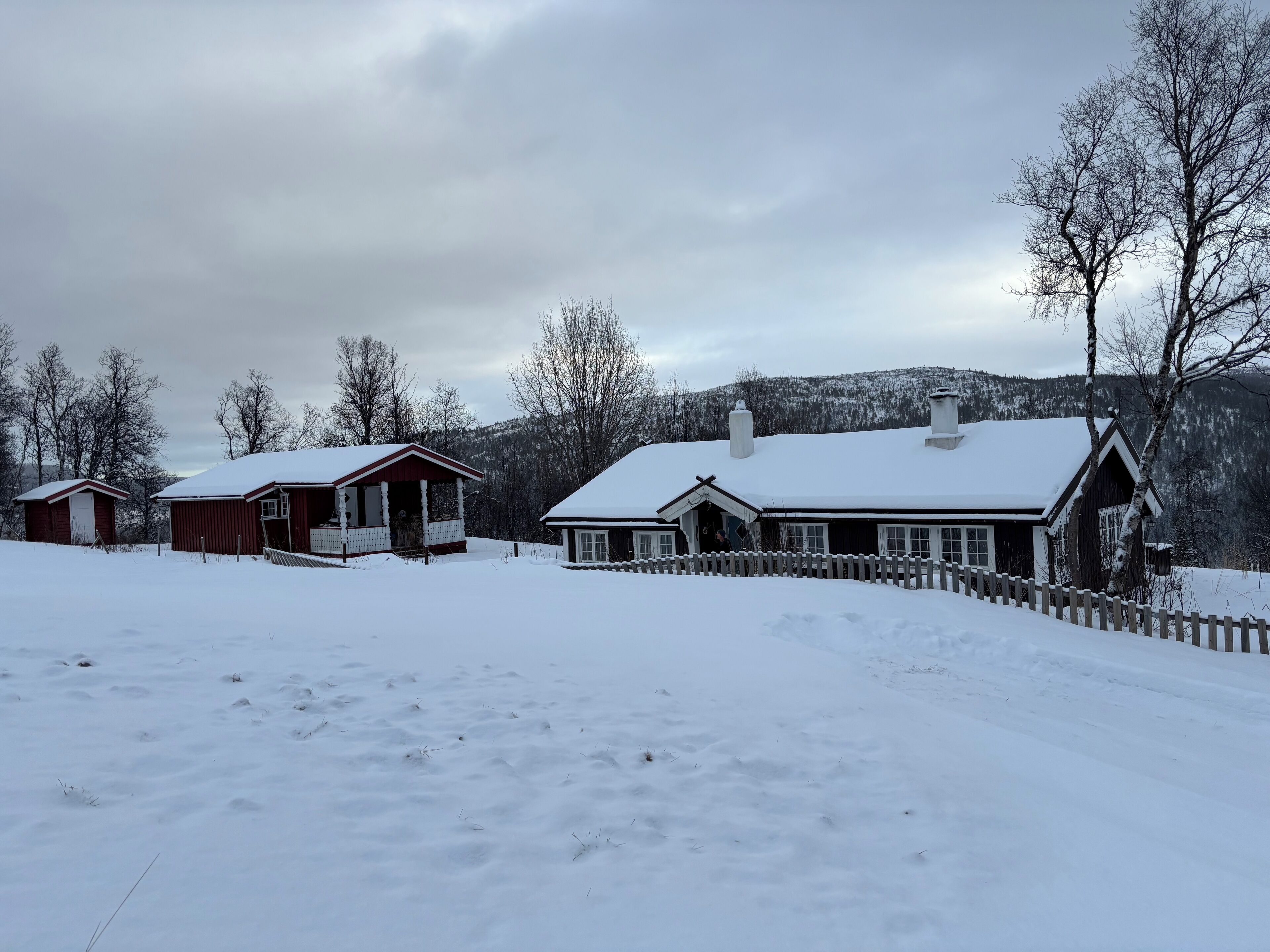 Eksteriør
