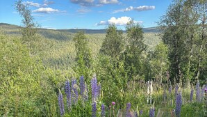 A wooden deck with a scenic view of a forest and mountains.