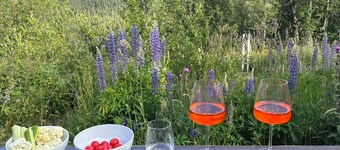 Marvelous 4-bedroom cabin all comfort 10 minutes drive to Norway best ski resort