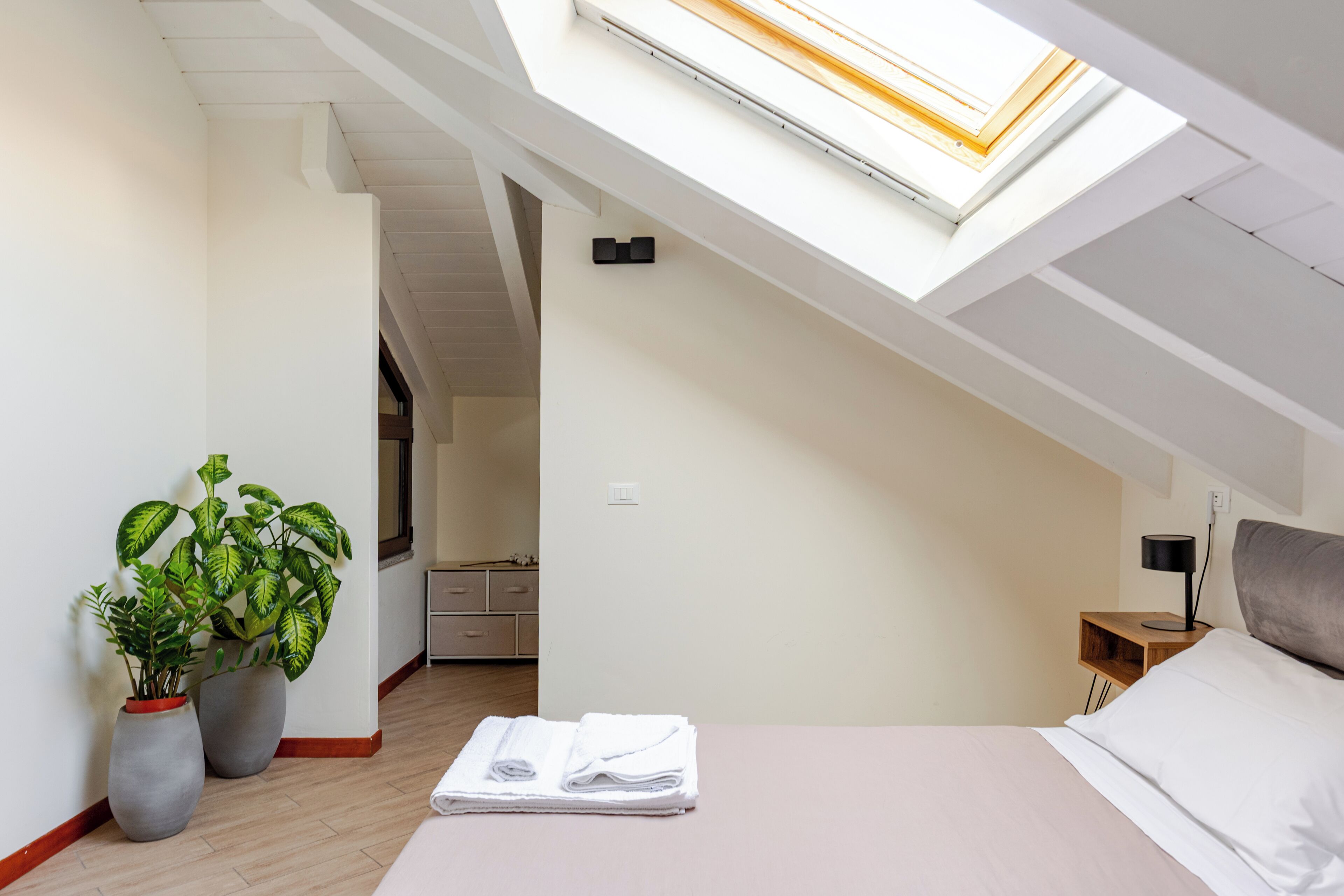 A modern bedroom with a skylight, a bed, a nightstand, and two potted plants.