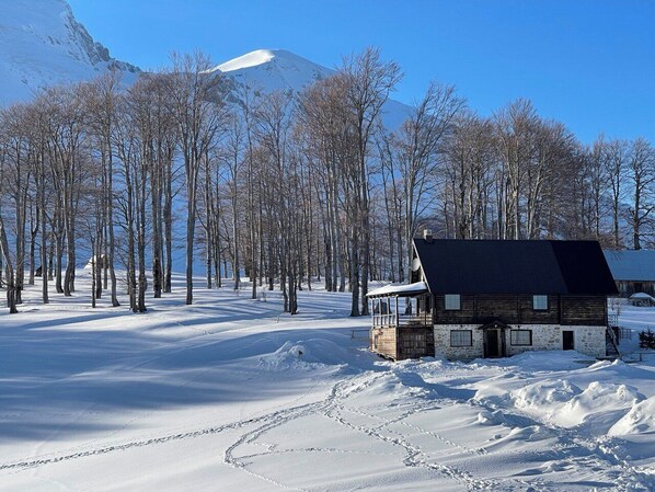 Ulkopuoli