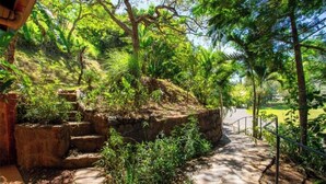 Un escalier en pierre qui monte une colline, bordé d’une végétation luxuriante et d’arbres.