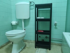 Shower, eco-friendly toiletries, hair dryer, towels