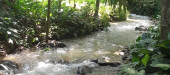 Cute 1-Bdrm Apt in Dolega Centro. Great Central Location w/ a Lovely Stream.