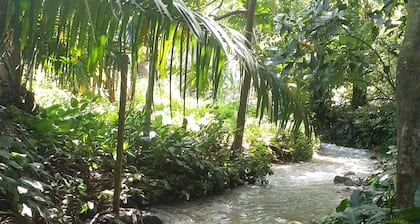 Cute 1-Bdrm Apt in Dolega Centro. Great Central Location w/ a Lovely Stream.