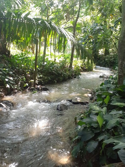 Cute 1-Bdrm Apt in Dolega Centro. Great Central Location w/ a Lovely Stream.