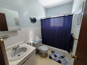 Shower, hair dryer, towels, soap