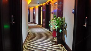 A hotel hallway with a patterned carpet, dark wooden doors, and a potted plant.