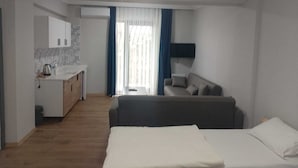 A hotel room with a bed, a sofa, a TV, a kitchen area with a sink and cabinets, and a window with curtains. - Rose Otel (Ezine)